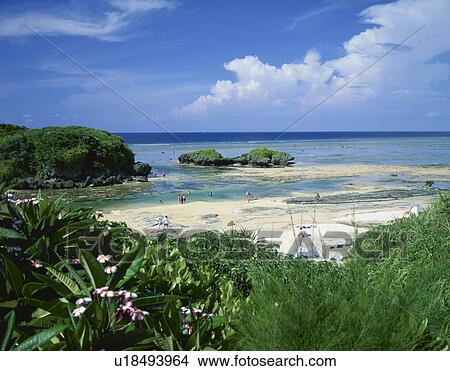 Picture - Hoshisuna beach, Iriomote Island, Okinawa Prefecture, Honshu, Japan. Fotosearch