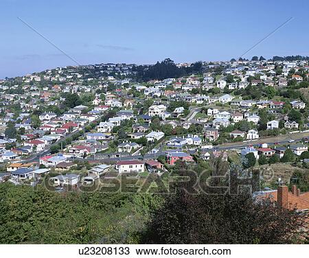 Stock Image - Houses on a hill, Dunedin, South Island, New Zealand. Fotosearch