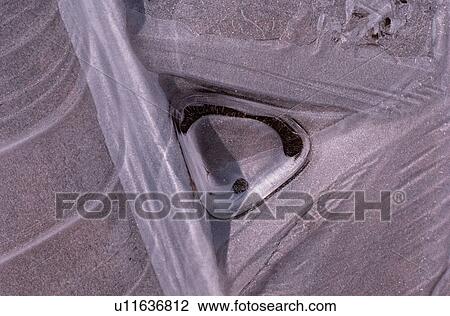 Stock Image - Ice covering grass. Fotosearch