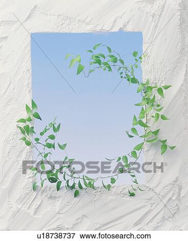 Stock Photo - Ivy growing through a textured white window. Fotosearch