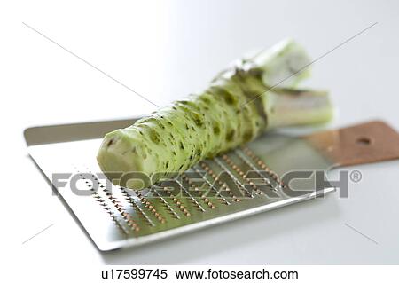 Stock Photography - Japanese horseradish. Fotosearch