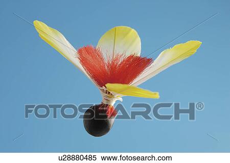 Stock Photography - Japanese shuttlecock. Fotosearch