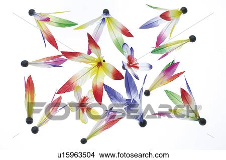 Picture - Japanese shuttlecocks. Fotosearch