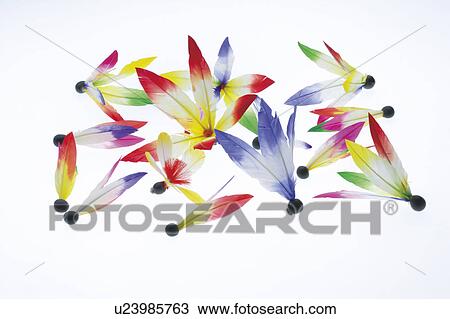 Stock Image - Japanese shuttlecocks. Fotosearch
