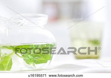 Jug of herbal tea View Large Photo Image Stock Image - Jug of herbal tea. Fotosearch