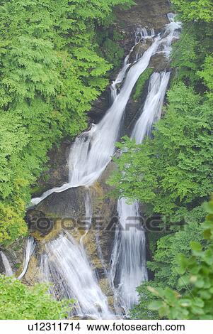Kirifuri Falls, Nikko, Tochigi Prefecture, Japan View Large Photo Image Picture - Kirifuri Falls, Nikko, Tochigi Prefecture, Japan. Fotosearch