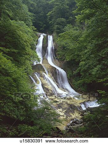 Stock Image - Kirifuri Falls, Nikko, Tochigi Prefecture, Japan. Fotosearch