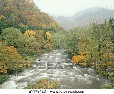 Komata river in Autumn, Kita-Akita, Akita Prefecture, Japan View Large Photo Image Picture - Komata river in Autumn, Kita-Akita, Akita Prefecture, Japan. Fotosearch