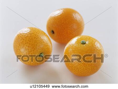 Kumquats View Large Photo Image Stock Photo - Kumquats. Fotosearch