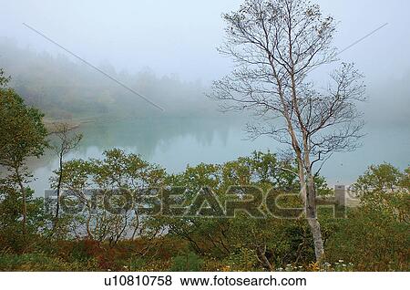Stock Photo - Lake surrounded by trees, Kusatsu-machi, Gumma Prefecture, Japan. Fotosearch