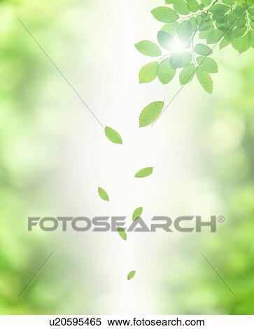 Stock Photography - Leaves falling from a tree. Fotosearch