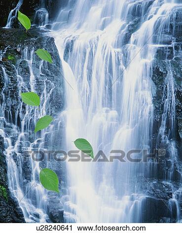 Stock Image - Leaves falling next to a waterfall. Fotosearch