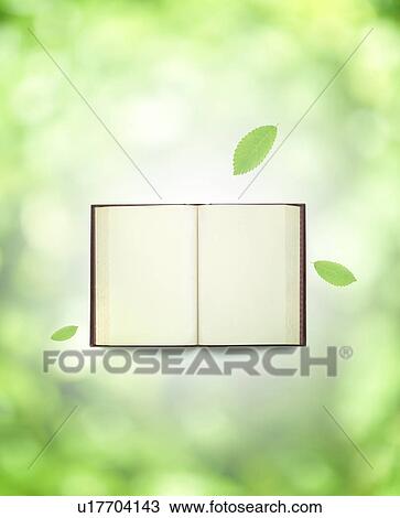 Leaves floating above and open book View Large Photo Image Stock Image - Leaves floating above and open book. Fotosearch