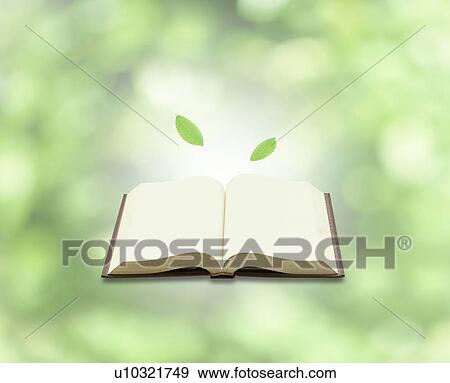 Leaves floating above and open book View Large Photo Image Stock Photo - Leaves floating above and open book. Fotosearch
