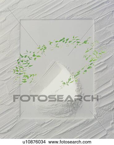 Leaves growing through a textured white frame View Large Photo Image Picture - Leaves growing through a textured white frame. Fotosearch