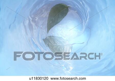Stock Image - Leaves in vortex, close up. Fotosearch