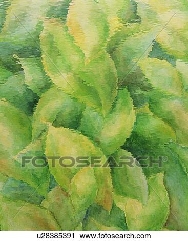 Stock Image - Leaves. Fotosearch