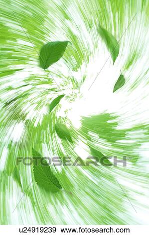 Stock Photo - Leaves swirling in the air. Fotosearch