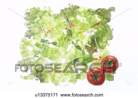 Lettuce and tomatoes View Large Photo Image Stock Image - Lettuce and tomatoes. Fotosearch