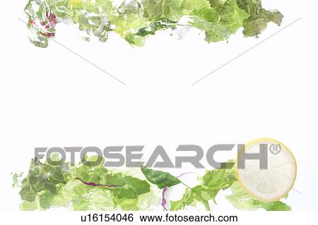 Stock Photograph - Lettuce leaves and a lemon slice. Fotosearch