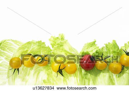 Picture - Lettuce, yellow tomatoes and cherry tomato. Fotosearch