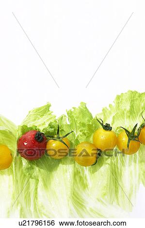 Stock Photograph - Lettuce, yellow tomatoes and cherry tomato. Fotosearch