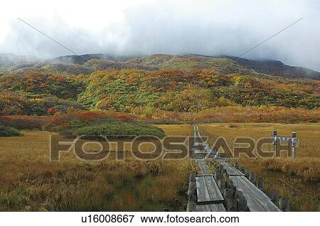 Stock Photo - Marshland, Akita Prefecture, Japan. Fotosearch