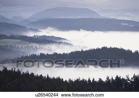 Picture - Misty forest. Auvergne, France. Fotosearch