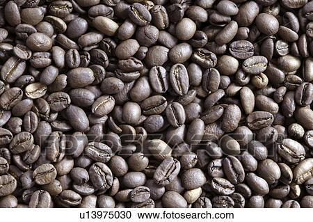 Stock Image - Mocha coffee beans. Fotosearch