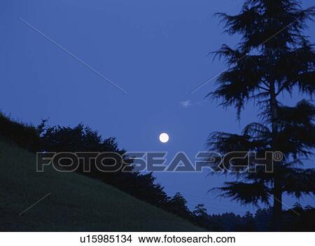 Picture - Moon at 19: 05 on August 7. Tochigi Prefecture, Japan. Fotosearch