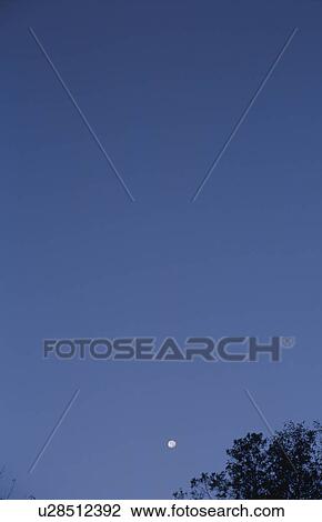Moon in sky over treetop. Mt Yatsugatake, Yamanashi Prefecture, Japan View Large Photo Image Stock Image - Moon in sky over treetop. Mt Yatsugatake, Yamanashi Prefecture, Japan. Fotosearch