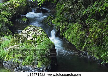 Mountain stream, Akiruno, Tokyo, Japan View Large Photo Image Stock Image - Mountain stream, Akiruno, Tokyo, Japan. Fotosearch