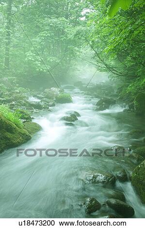 Mountain stream, Gassan, Shonai-machi, Yamagata Prefecture, Japan View Large Photo Image Stock Image - Mountain stream, Gassan, Shonai-machi, Yamagata Prefecture, Japan. Fotosearch