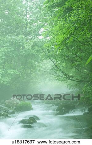 Mountain stream, Gassan, Shonai-machi, Yamagata Prefecture, Japan View Large Photo Image Stock Photo - Mountain stream, Gassan, Shonai-machi, Yamagata Prefecture, Japan. Fotosearch