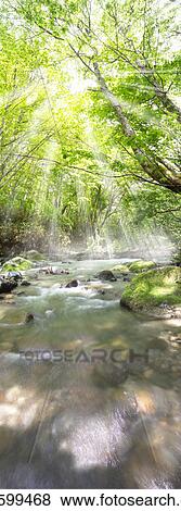 Mountain stream. Kuroishi, Aomori Prefecture, Japan View Large Photo Image Stock Photo - Mountain stream. Kuroishi, Aomori Prefecture, Japan. Fotosearch