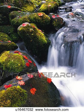 Mountain stream View Large Photo Image Stock Image - Mountain stream. Fotosearch