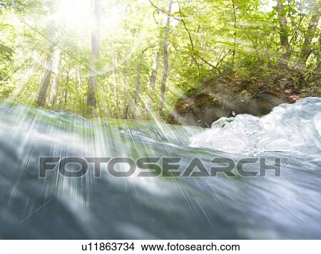 Picture - Mountain stream, Towada, Aomori Prefecture, Japan. Fotosearch