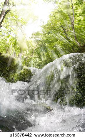 Mountain stream, Towada, Aomori Prefecture, Japan View Large Photo Image Stock Image - Mountain stream, Towada, Aomori Prefecture, Japan. Fotosearch