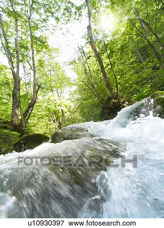 Mountain stream, Towada, Aomori Prefecture, Japan View Large Photo Image Stock Photo - Mountain stream, Towada, Aomori Prefecture, Japan. Fotosearch