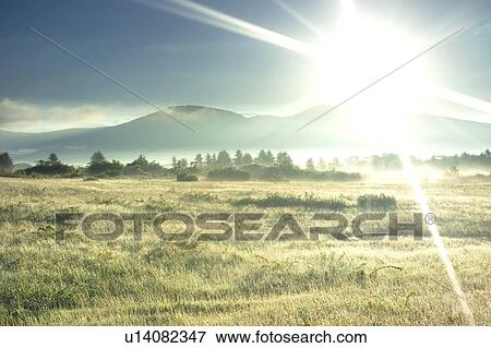 Stock Photo - Mountains and grasslands, Aomori Prefecture, Japan. Fotosearch