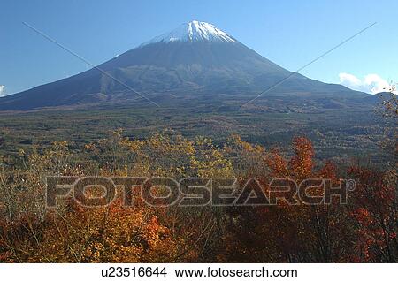 Mt Fuji during Autumn, Narusawa-son, Yamanashi Prefecture, Japan View Large Photo Image Picture - Mt Fuji during Autumn, Narusawa-son, Yamanashi Prefecture, Japan. Fotosearch