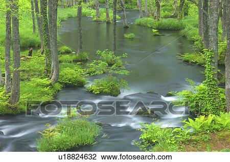 Stock Image - Nagase river, Fukushima Prefecture, Japan. Fotosearch