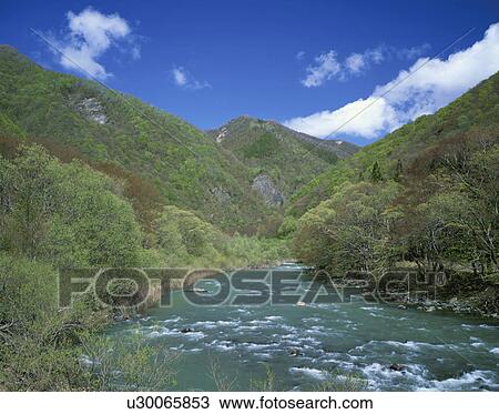 Oirase river, Aomori Prefecture, Honshu, Japan View Large Photo Image Stock Image - Oirase river, Aomori Prefecture, Honshu, Japan. Fotosearch