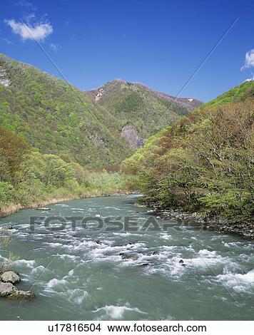 Picture - Oirase river. Fukaura-machi, Aomori Prefecture, Japan. Fotosearch