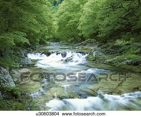 Ojika river, Tochigi Prefecture, Honshu, Japan View Large Photo Image Picture - Ojika river, Tochigi Prefecture, Honshu, Japan. Fotosearch