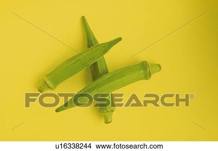 Picture - Okra. Fotosearch