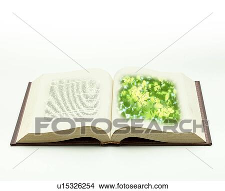 Open book with illustration of leaves View Large Photo Image Picture - Open book with illustration of leaves. Fotosearch
