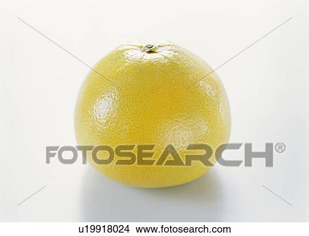 Picture - Orange. Fotosearch