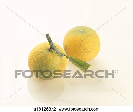 Oranges View Large Photo Image Stock Image - Oranges. Fotosearch