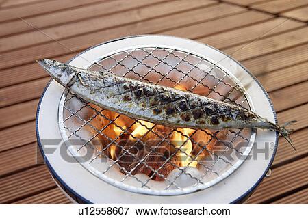 Stock Photo - Pacific saury grilling on a charcoal brazier. Fotosearch
